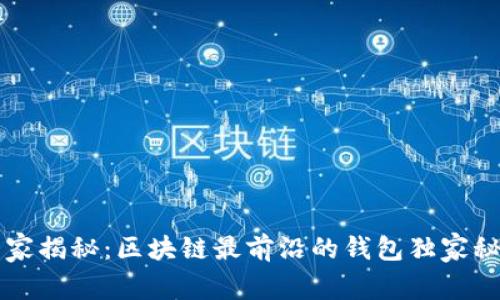 专家揭秘：区块链最前沿的钱包独家秘籍