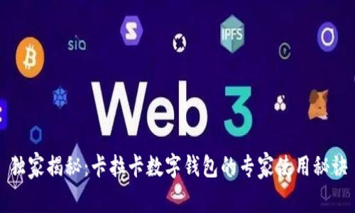 独家揭秘：卡拉卡数字钱包的专家使用秘诀