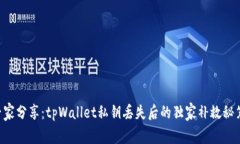 专家分享：tpWallet私钥丢失后的独家补救秘笈！