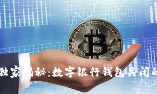 专家独家揭秘：数字银行钱包关闭的秘诀