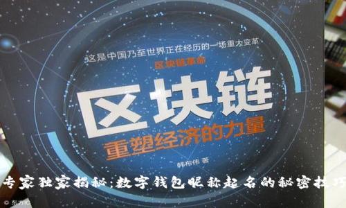 专家独家揭秘：数字钱包昵称起名的秘密技巧