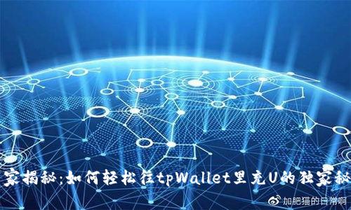 专家揭秘：如何轻松往tpWallet里充U的独家秘诀