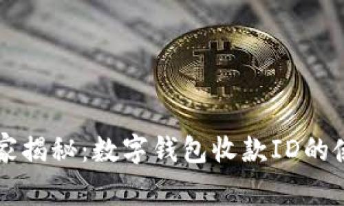 专家独家揭秘：数字钱包收款ID的使用秘诀