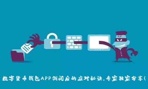 数字货币钱包APP倒闭后的应对秘诀，专家独家分享！