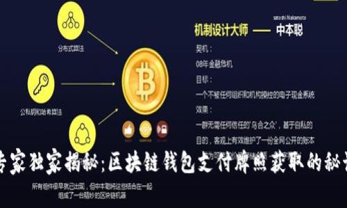专家独家揭秘：区块链钱包支付牌照获取的秘诀