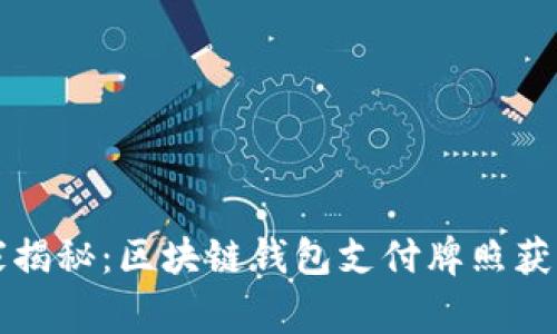 专家独家揭秘：区块链钱包支付牌照获取的秘诀