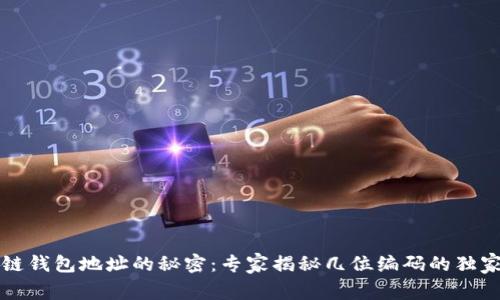 区块链钱包地址的秘密：专家揭秘几位编码的独家秘诀