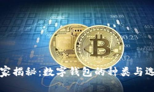 专家独家揭秘：数字钱包的种类与选择秘诀