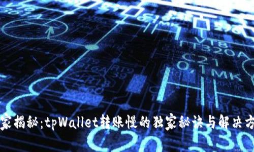 专家揭秘：tpWallet转账慢的独家秘诀与解决方案