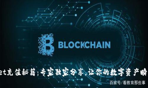 tpWallet充值秘籍：专家独家分享，让你的数字资产瞬间充盈！