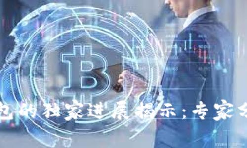 北信源数字钱包的独家进展揭示：专家分享的成功秘诀
