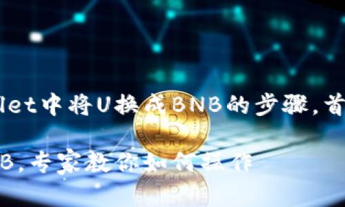 当然可以，我来帮你详细讲解一下如何在tpWallet中将U换成BNB的步骤。首先，我们来设置一下背景知识，希望对你有帮助。

### tpWallet专属秘诀：轻松将USDT换成BNB，专家教你如何操作