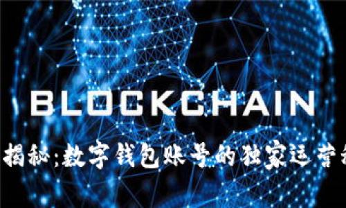专家揭秘：数字钱包账号的独家运营秘诀！