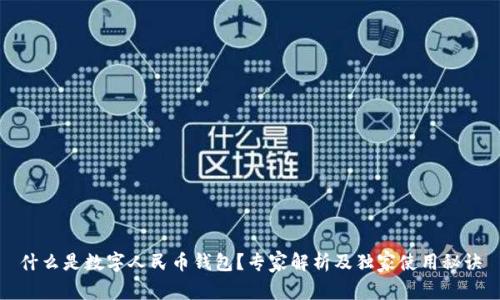 什么是数字人民币钱包？专家解析及独家使用秘诀