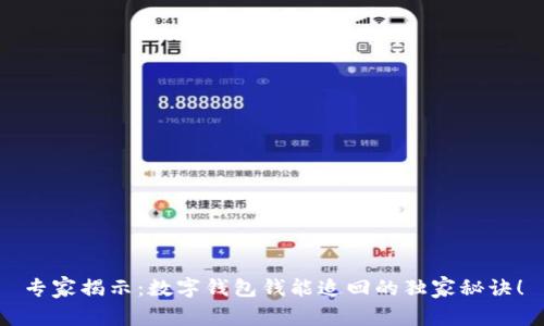 专家揭示：数字钱包钱能追回的独家秘诀！