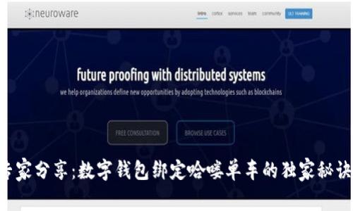 专家分享：数字钱包绑定哈喽单车的独家秘诀！