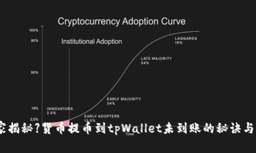 【专家独家揭秘】货币提币到tpWallet未到账的秘诀与解决方案