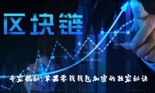 专家揭秘：苹果零钱钱包加密的独家秘诀