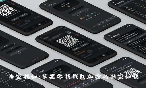 专家揭秘：苹果零钱钱包加密的独家秘诀
