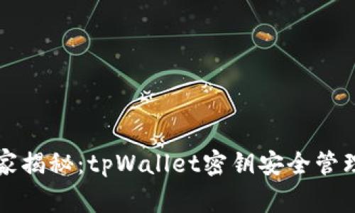 专家独家揭秘：tpWallet密钥安全管理的秘诀