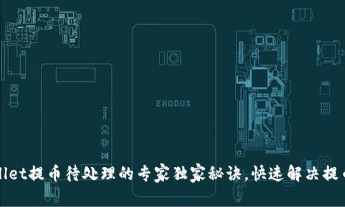tpWallet提币待处理的专家独家秘诀，快速解决提币问题