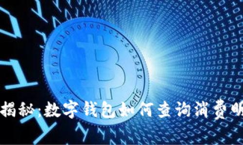专家独家揭秘：数字钱包如何查询消费明细的秘诀