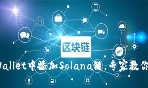 独家揭秘：如何在tpWallet中添加Solana链，专家教你一步到位的操作秘诀