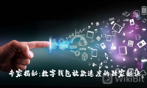 专家揭秘：数字钱包放款速度的独家秘诀
