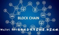 手机tpWallet BNB转账现金的专家秘籍，独家攻略大