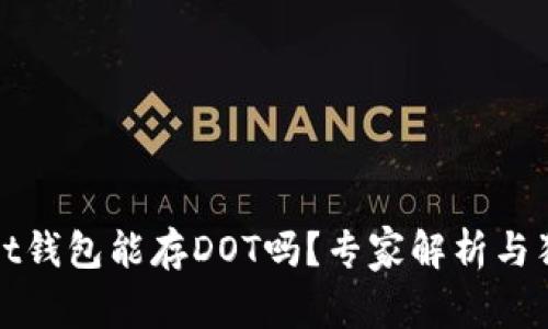 tpWallet钱包能存DOT吗？专家解析与独家秘诀