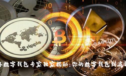 2023年数字钱包专家独家揭秘：你的数字钱包到底能干嘛？