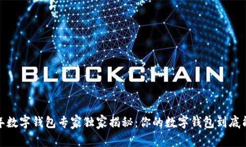 2023年数字钱包专家独家揭秘：你的数字钱包到底能干嘛？