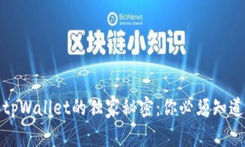 揭秘狐狸钱包和tpWallet的独家秘密：你必须知道的使用专家建议