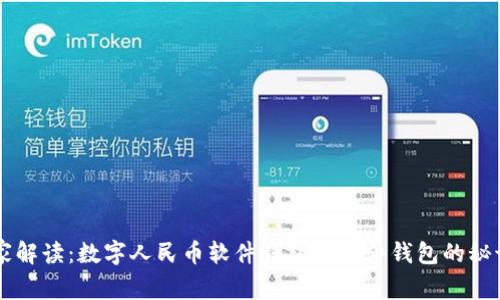 专家独家解读：数字人民币软件钱包与硬件钱包的秘诀大解析