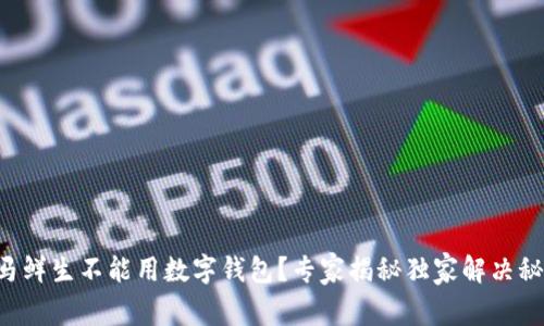 盒马鲜生不能用数字钱包？专家揭秘独家解决秘诀！