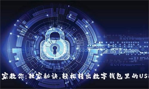 专家教你：独家秘诀，轻松转出数字钱包里的USDT