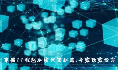 苹果11钱包加密设置秘籍：专家独家分享