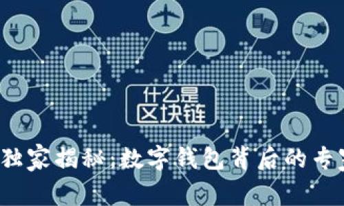 拼多多独家揭秘：数字钱包背后的专家秘诀！