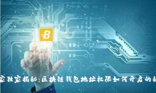 专家独家揭秘：区块链钱包地址权限如何开启的秘诀