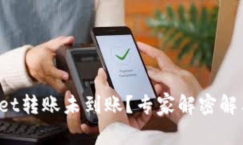 tpWallet转账未到账？专家解密解决秘诀！