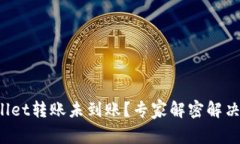 tpWallet转账未到账？专家解密解决秘诀！