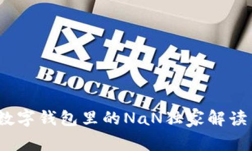 专家揭秘：数字钱包里的NaN独家解读与使用秘诀