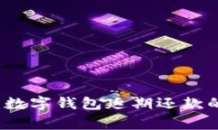 专家揭秘：数字钱包延期还款的独家秘诀