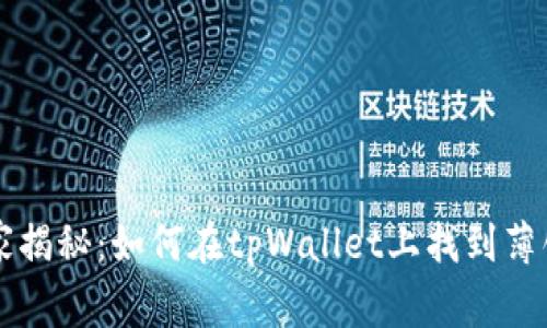专家独家揭秘：如何在tpWallet上找到薄饼的秘诀