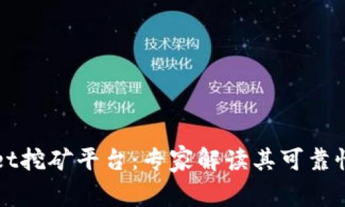 揭秘tpWallet挖矿平台：专家解读其可靠性与独家秘诀