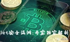 揭秘tpWallet安全漏洞：专家独家解析与防护秘诀