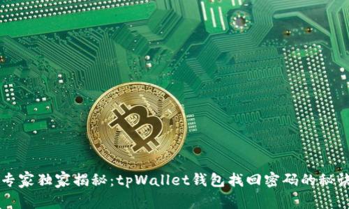 专家独家揭秘：tpWallet钱包找回密码的秘诀