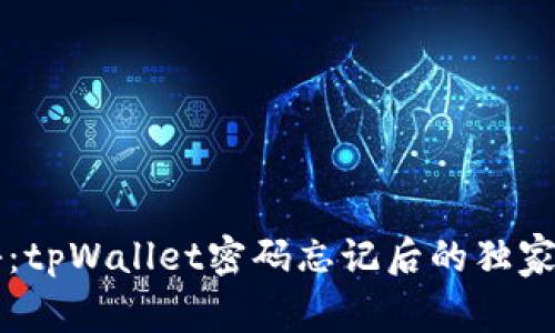专家揭秘：tpWallet密码忘记后的独家解决秘诀