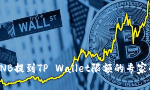 独家揭秘：BNB提到TP Wallet限额的专家解析及秘诀！