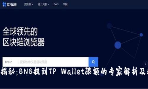 独家揭秘：BNB提到TP Wallet限额的专家解析及秘诀！